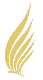 Kata
